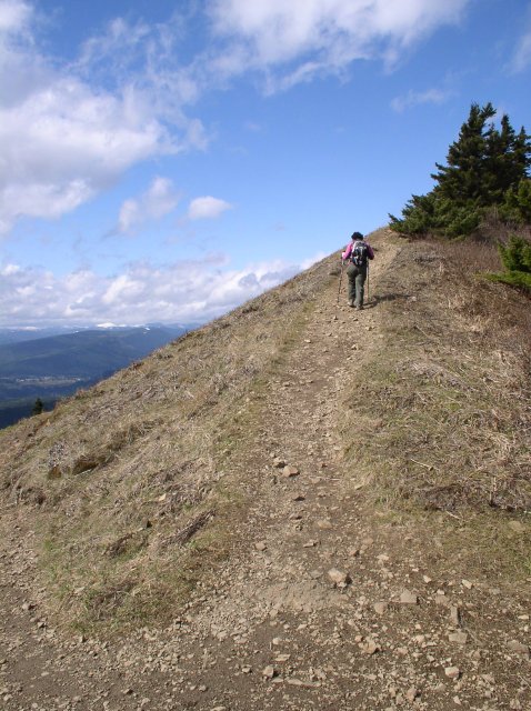 3.24.06 Dog Mountain 028 